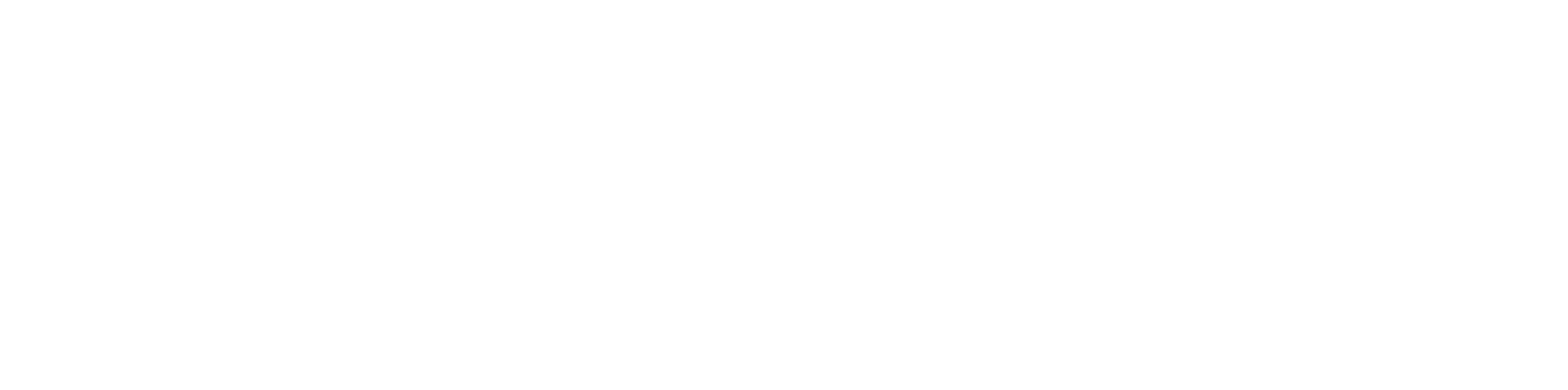 Salty Life Traffic Exchange Transparent Logo